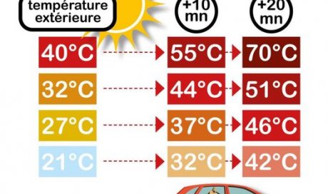 Quelle différence entre la température extérieure et dans l'habitacle de la voiture ?