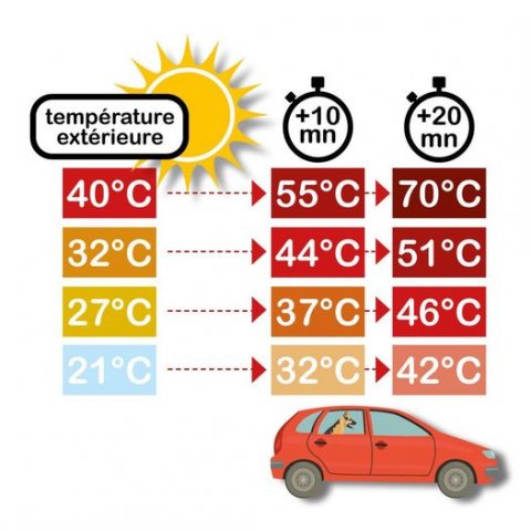 Quelle différence entre la température extérieure et dans l'habitacle de la voiture ?